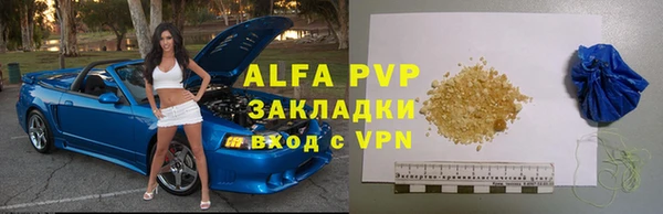 стаф Сосновый Бор