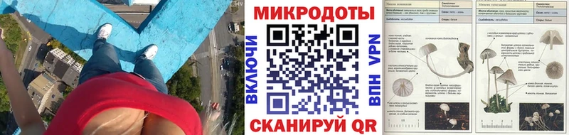 Купить  Спасск-Рязанский  Галлюциногенные грибы ЛСД 