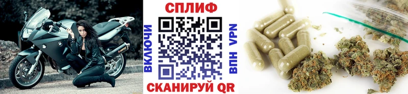 Купить закладки  Спасск-Рязанский  Канабис гибрид 